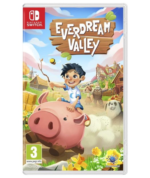 switch everdream valley